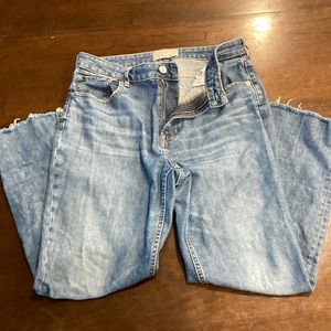 Everlane Curvy Cheeky Straight Leg Regular Jeans